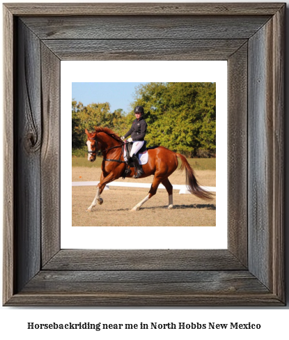 horseback riding near me in North Hobbs, New Mexico